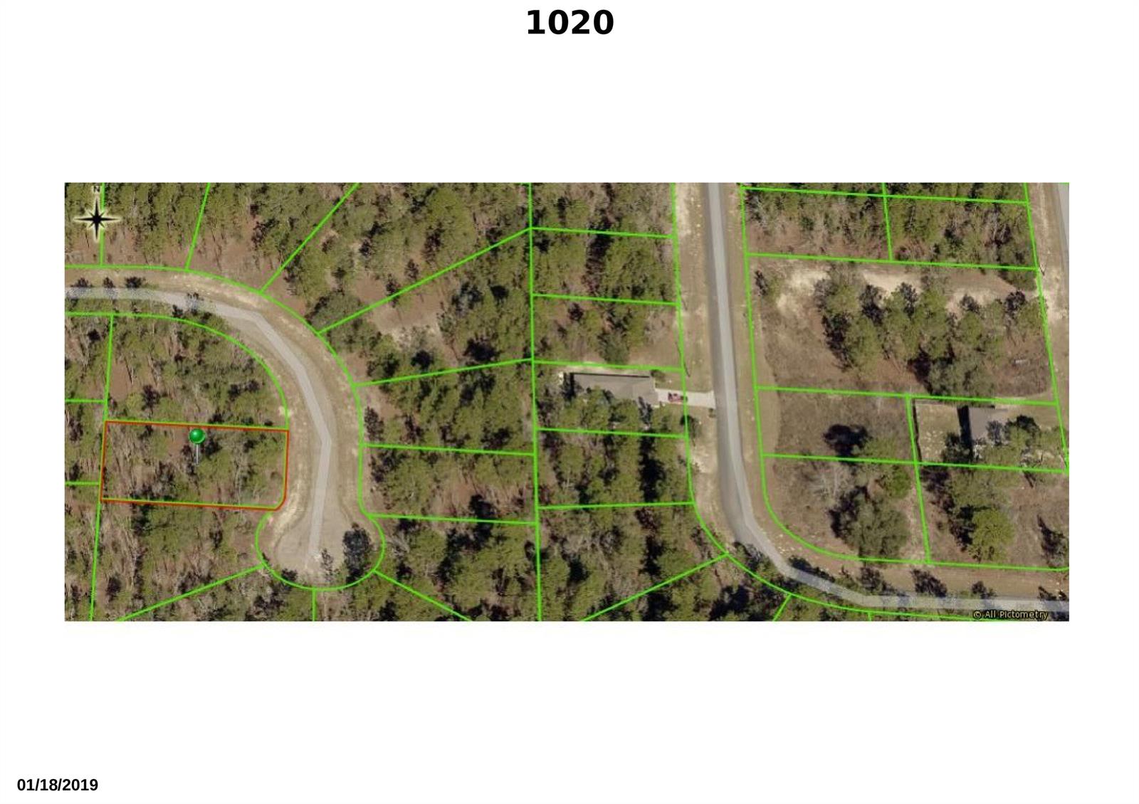 1020 W Riley Drive, FL 34434 — #R10767102