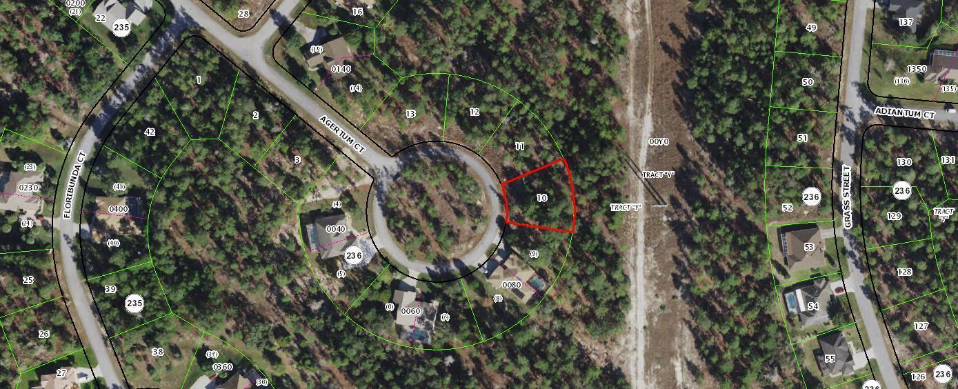 29 Ageratum Court, FL 34446 — #R10707684