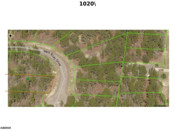1020 W Riley Drive, FL 34434 — #R10767102