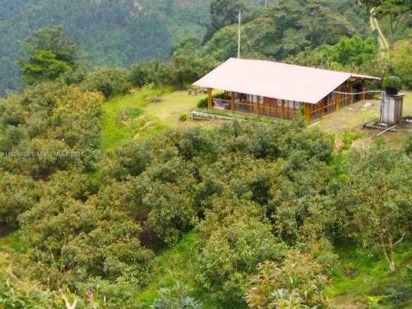 Armenia-Quindio, FL — #A11529028