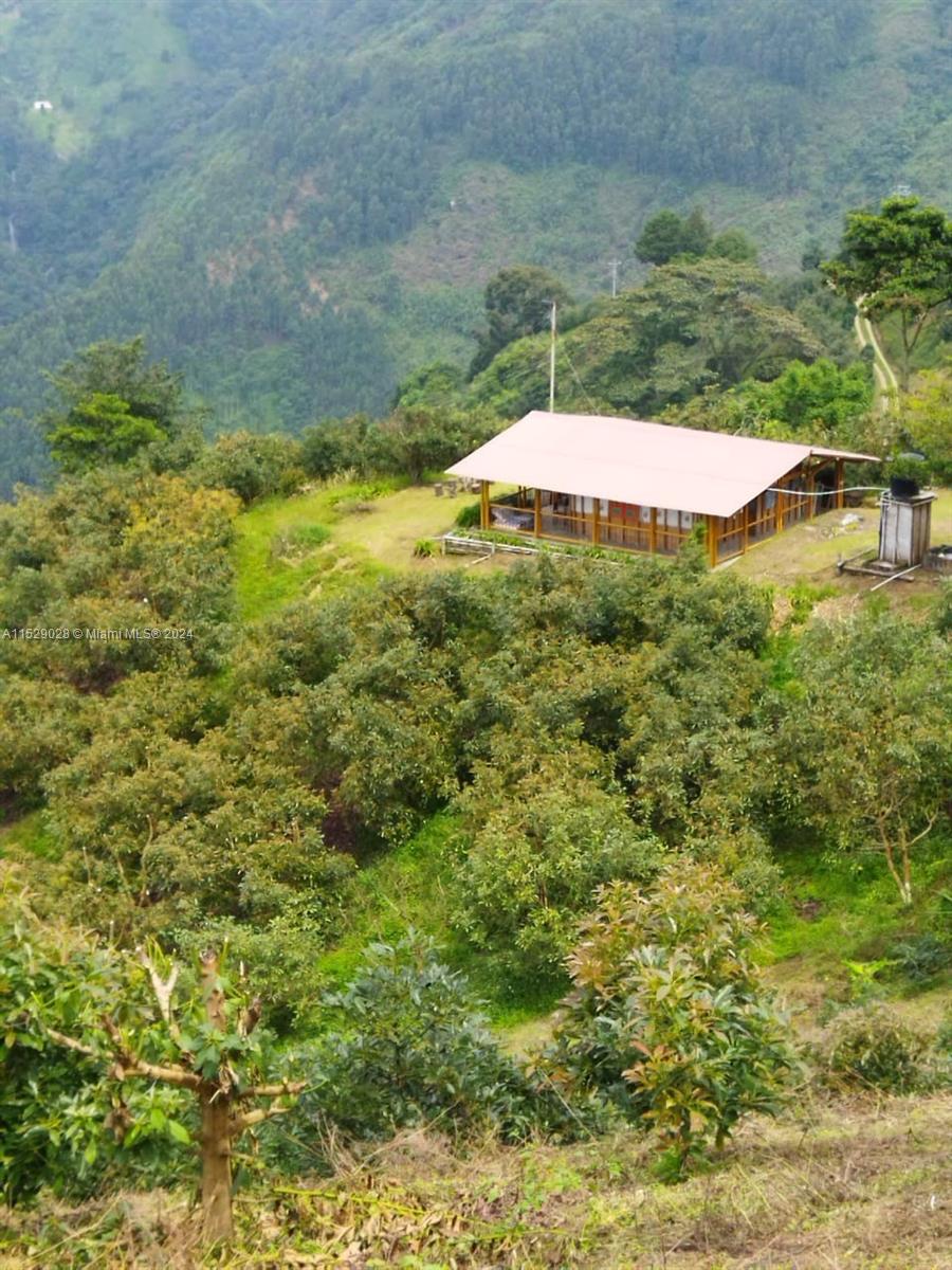 83dcefb7-10 Armenia-Quindio, FL — #A11529028