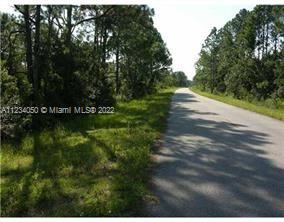 4420 FETTUCCINE AVE, Sebring FL 33872 — #A11234050