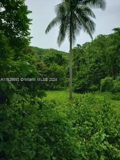 Lucky Valley Bog Walk St Catherine, OT 10 — #A11626693
